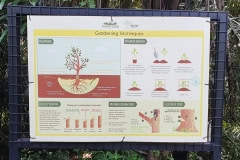 CSR - October 2019 - Tree Planting at Taman Tugu