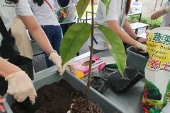 CSR - October 2019 - Tree Planting at Taman Tugu
