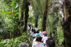 CSR - October 2019 - Tree Planting at Taman Tugu
