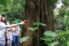 CSR - October 2019 - Tree Planting at Taman Tugu