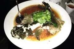 Play Hard - January 2017 – Chinese New Year Dinner