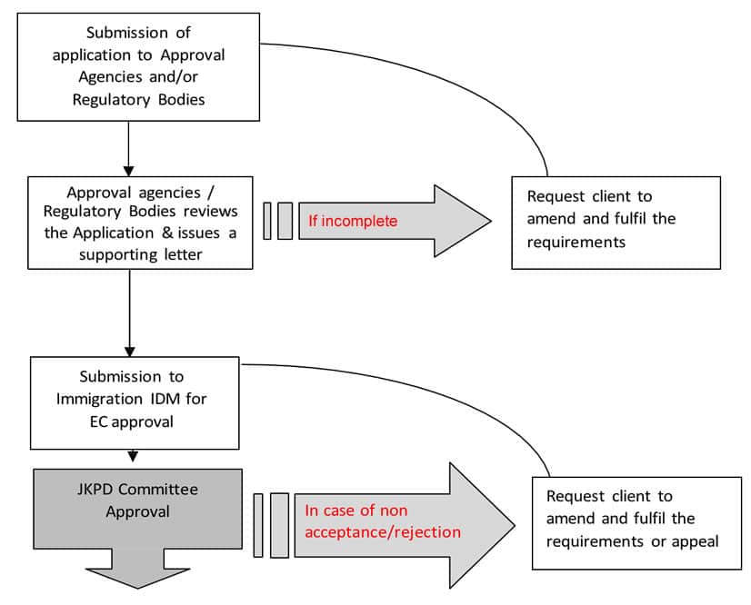 Summary of Immigration Process
