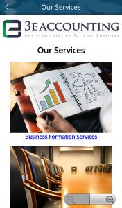List of 3E Accounting International Services