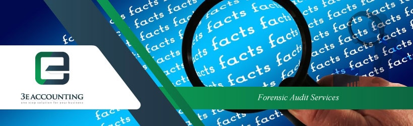 Forensic Audit Services 