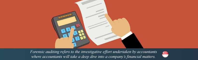 Forensic Audit Services 