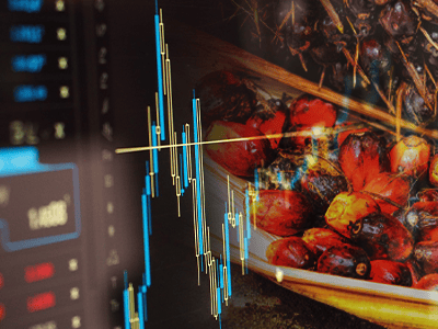 Palm Olein Contract Unveiled on Bursa Palm Olein Contract Unveiled on Bursa