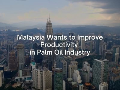 Malaysia Wants to Improve Productivity in Palm Oil Industry Malaysia Wants to Improve Productivity in Palm Oil Industry