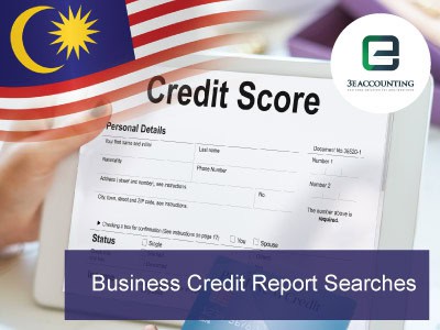 Business Credit Report Searches