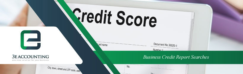 Business Credit Report Searches