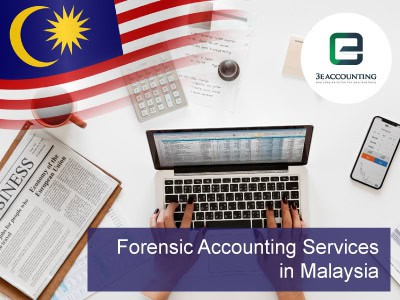 Forensic Accounting And Fraud Examination Textbooks On Carousell