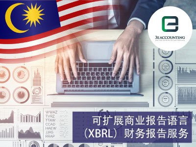 可扩展商业报告语言（XBRL）财务报告服务