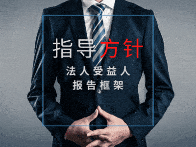 法人受益人报告框架