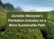 Zuraida: Malaysia’s Plantation Industry on a More Sustainable Path