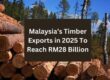 Malaysia’s Timber Exports in 2025 To Reach RM28 Billion