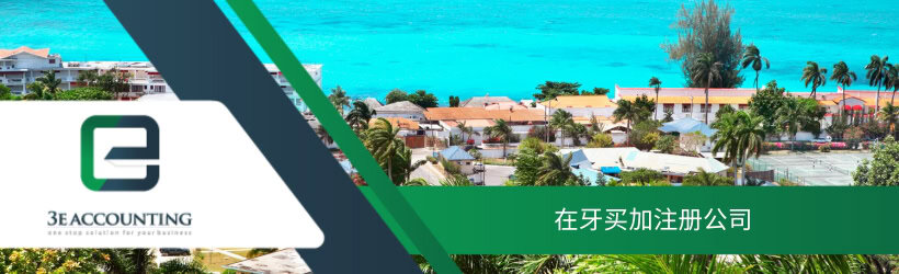 在牙买加注册公司 在牙买加注册公司