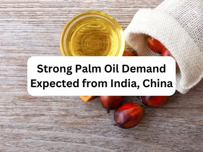 Strong Palm Oil Demand Expected from India, China Strong Palm Oil Demand Expected from India, China