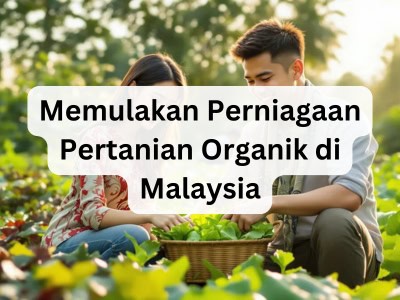 Memulakan Perniagaan Pertanian Organik di Malaysia