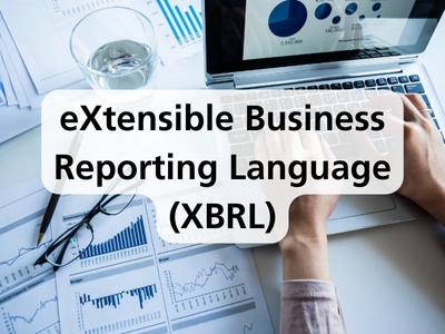 eXtensible Business Reporting Language (XBRL)