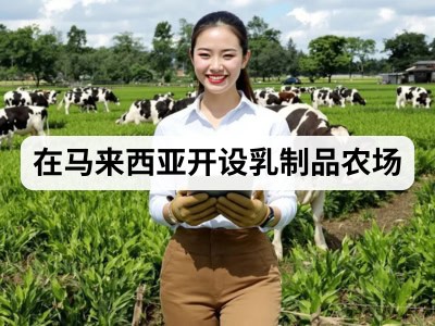 在马来西亚开设乳制品农场