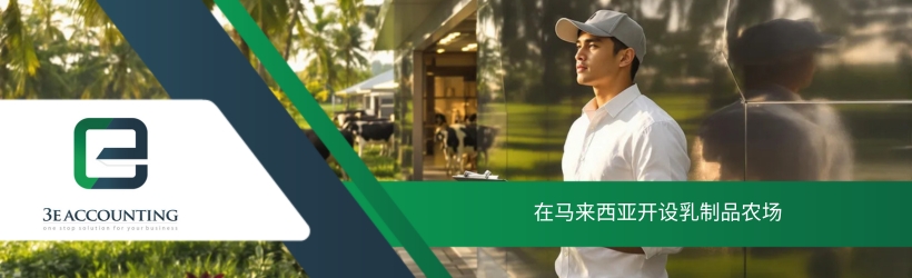 在马来西亚开设乳制品农场