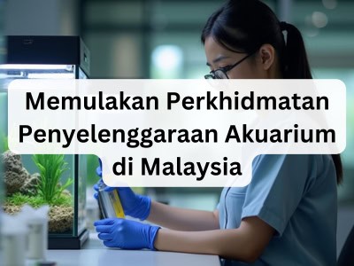 Memulakan Perkhidmatan Penyelenggaraan Akuarium di Malaysia