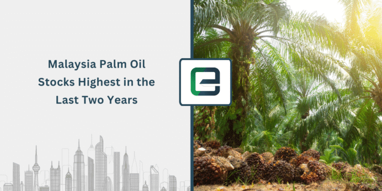 Malaysia Palm Oil Stocks Highest in the Last Two Years-1024×512