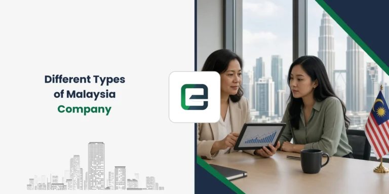 Different Types of Malaysia Company